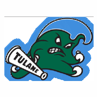 杜兰大学